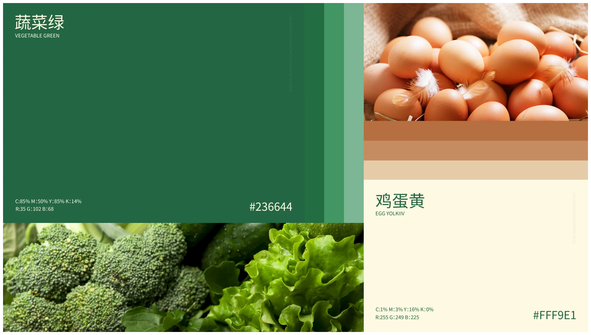 鲜养中式现炒品牌视觉全案第 17 页